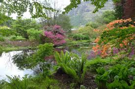 benmore botanic garden