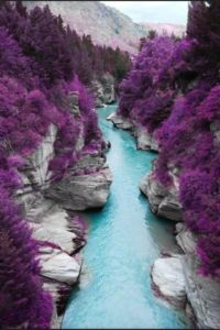 fairy pool with purple